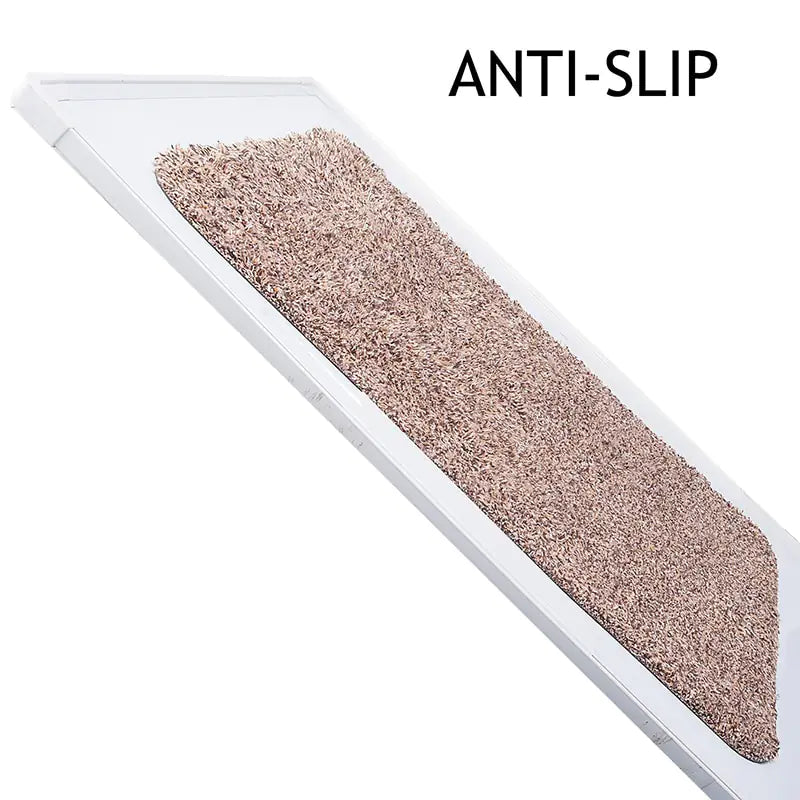 Absorbing Door Mat