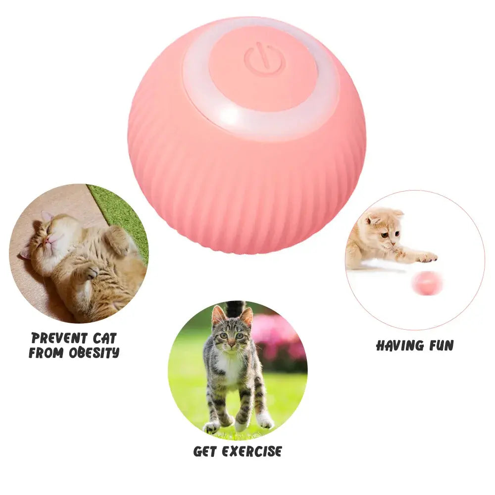 Rolling Ball Electric Cat Toys